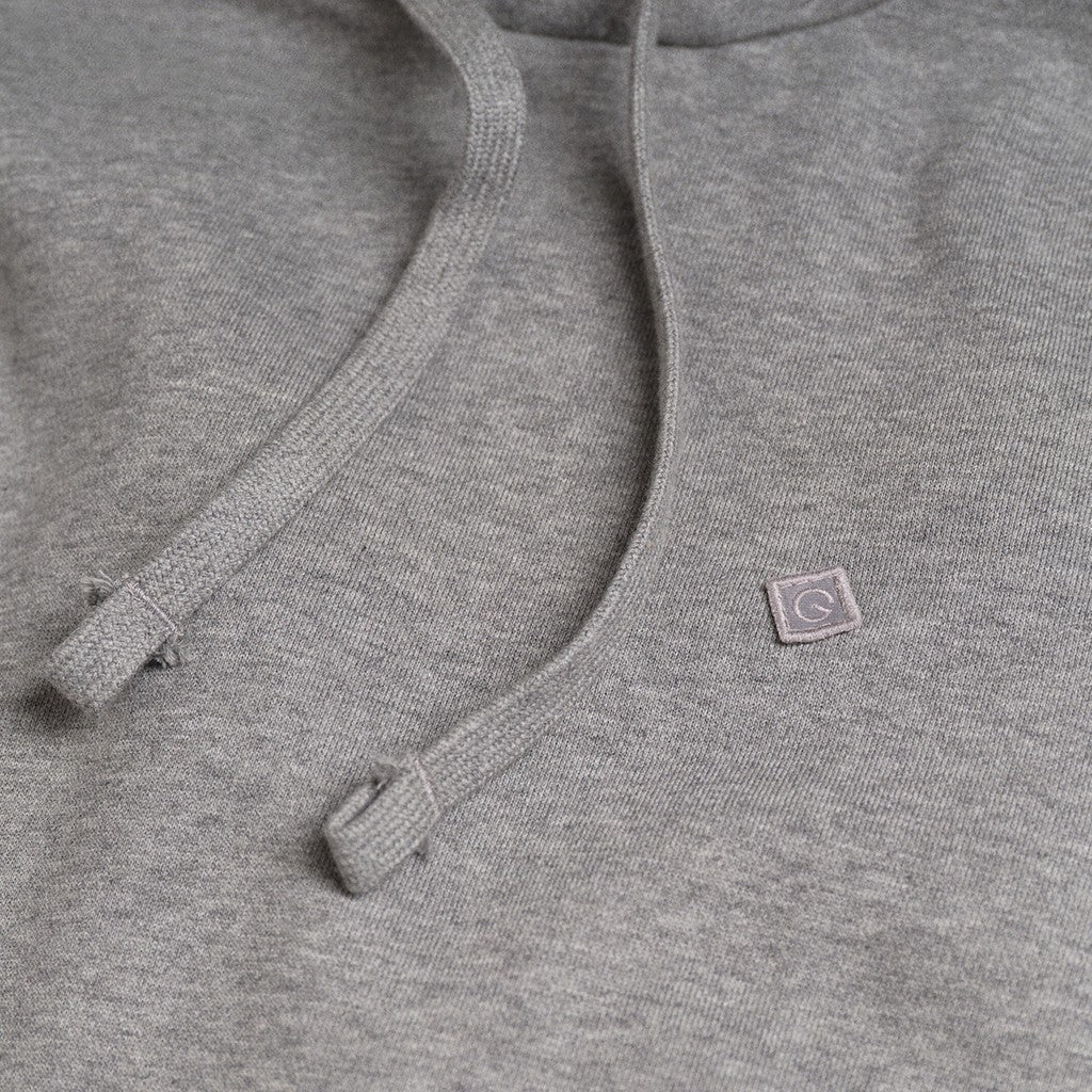 Gant Hoodie Heren – Grijs
