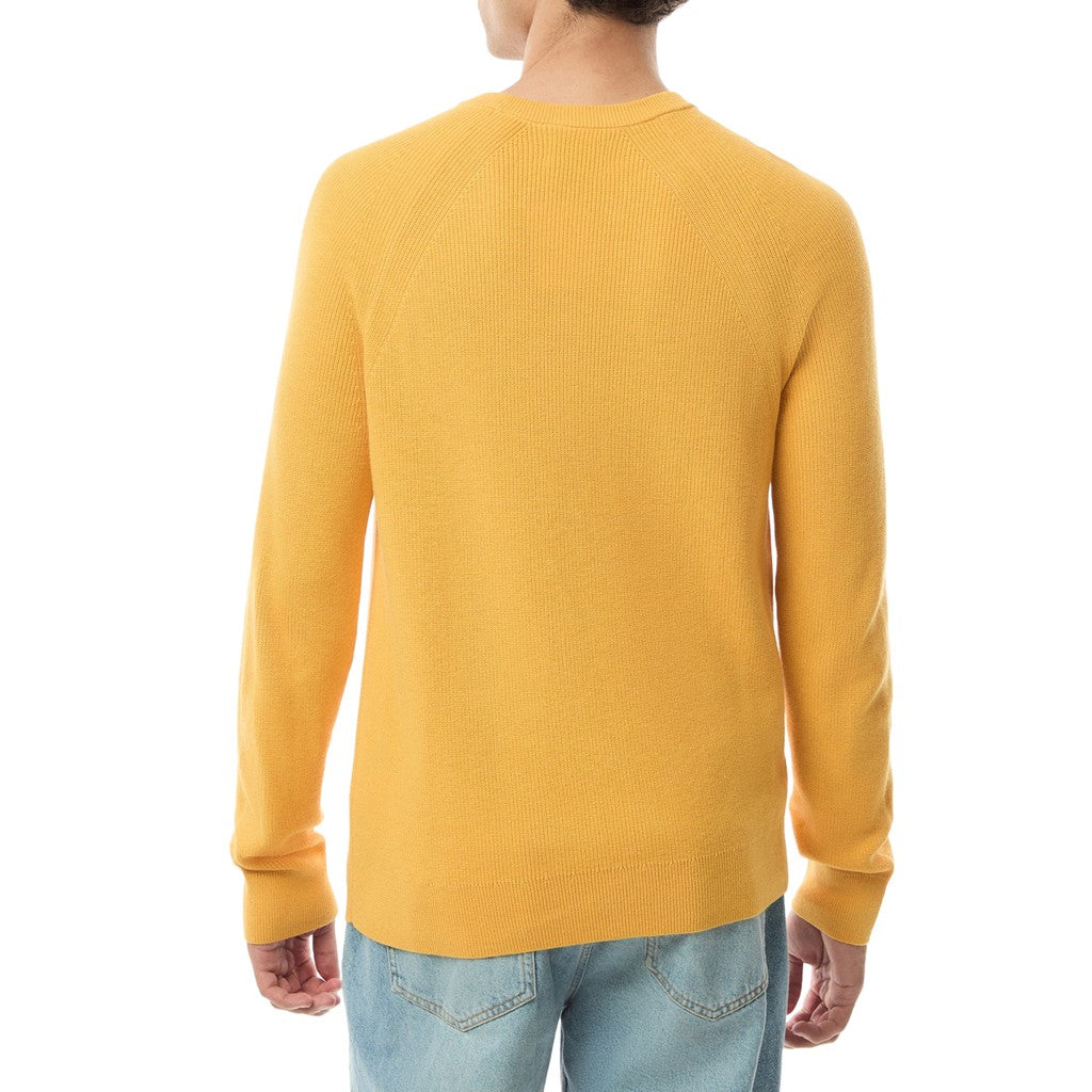 Gant Trui met ronde hals Heren – Geel
