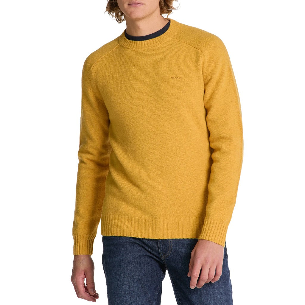 Gant Trui met ronde hals Heren – Geel