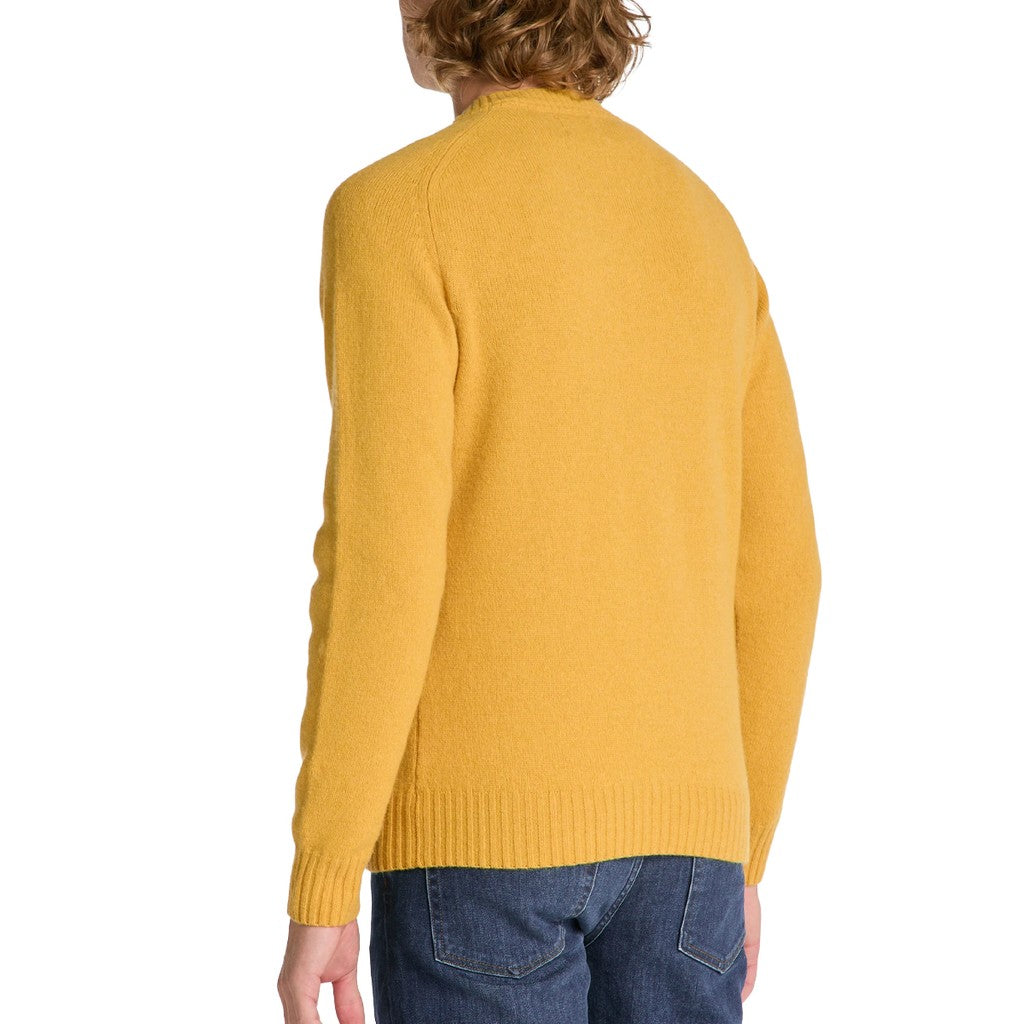 Gant Trui met ronde hals Heren – Geel
