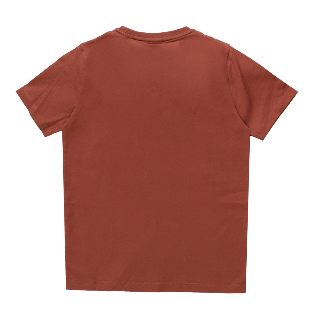 Lyle & Scott Kids T-shirt met ronde hals en logo – Terracotta