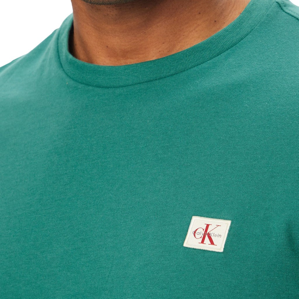 Calvin Klein T-shirt met ronde hals en logo – Blauw