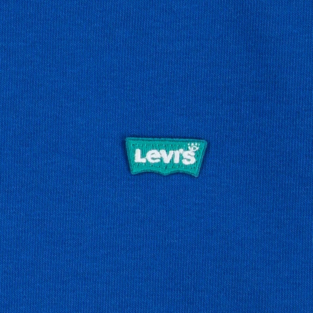 Levi's Kids Batwing Hoodie met geborduurd logo – Koningsblauw
