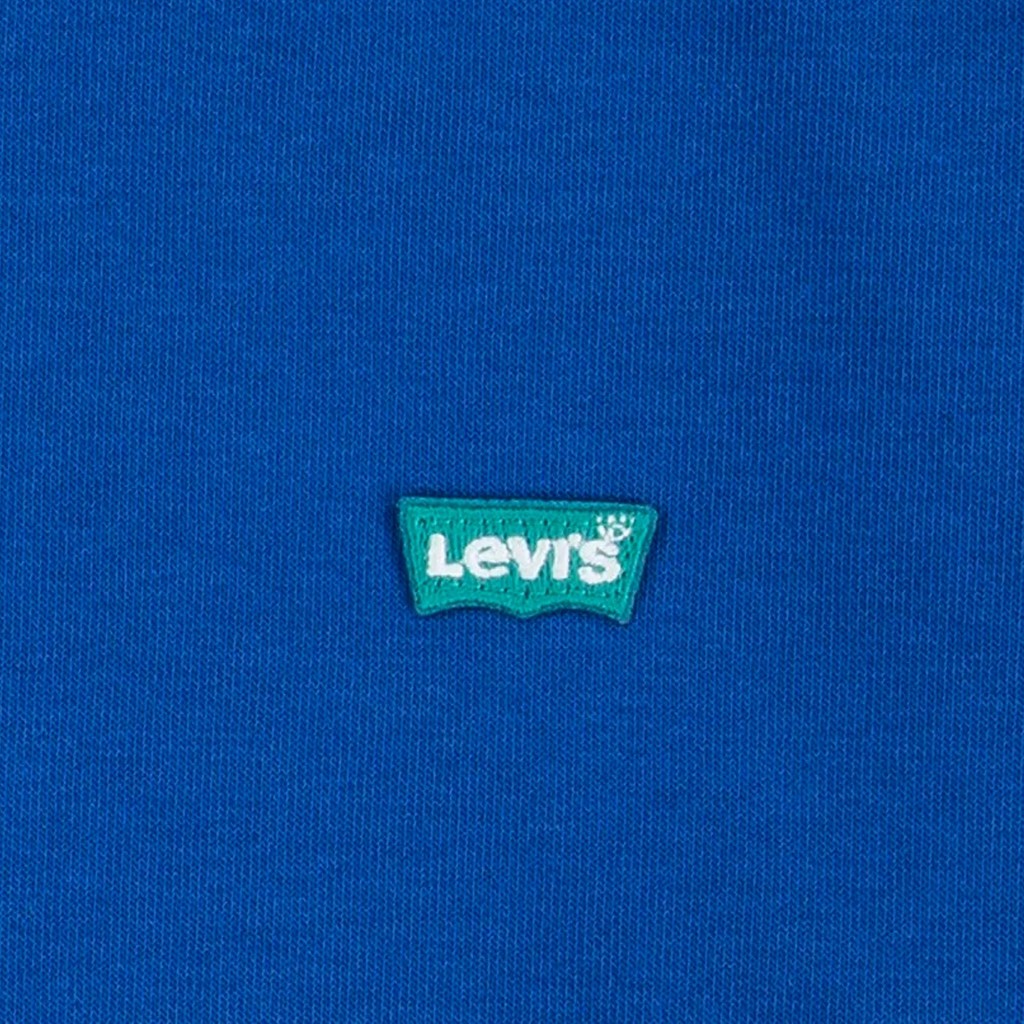 Levi's Kids Batwing Hoodie met geborduurd logo – Koningsblauw